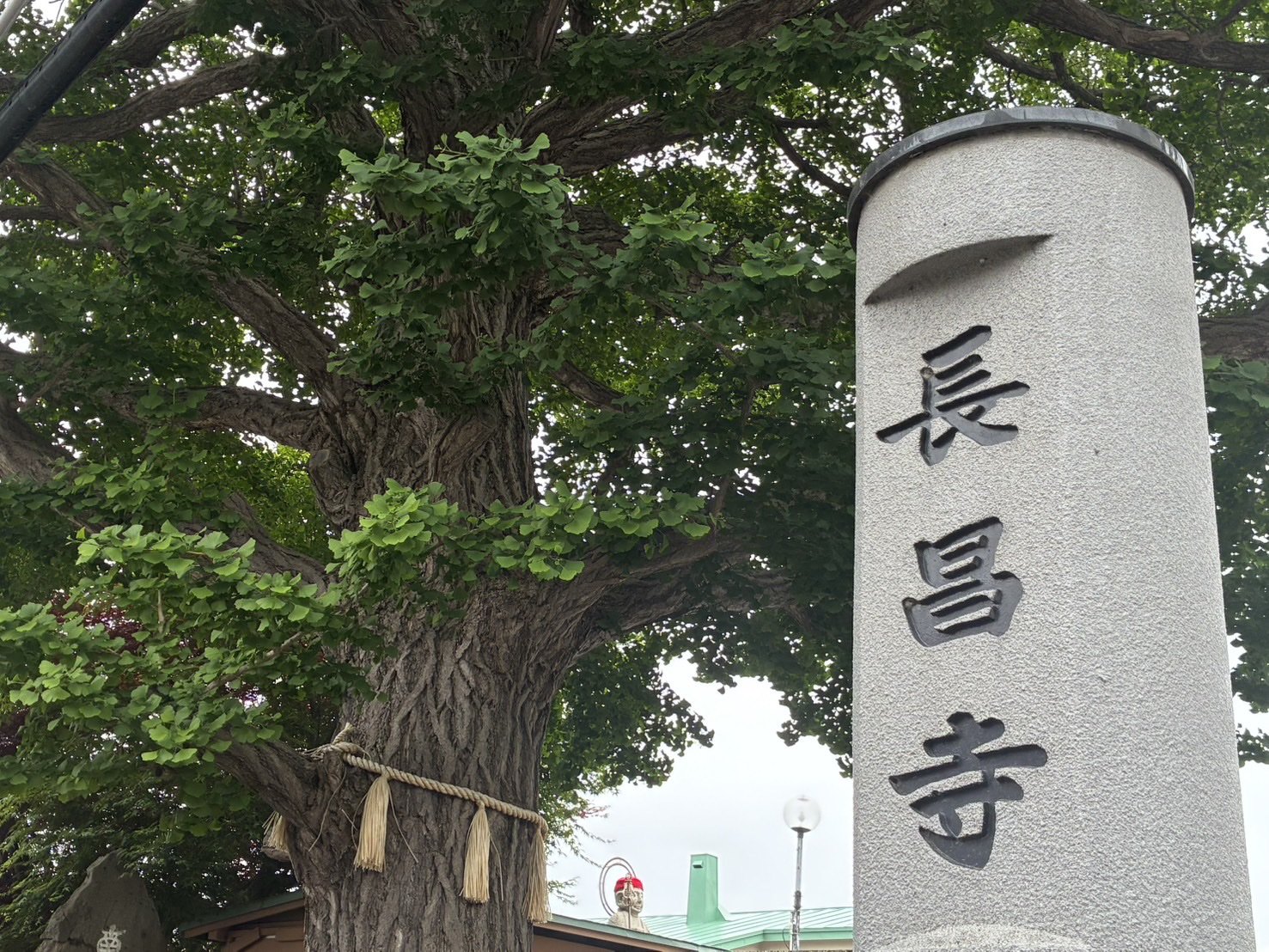 長昌寺 寺号標と夫婦銀杏